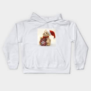 The puppy santa Kids Hoodie